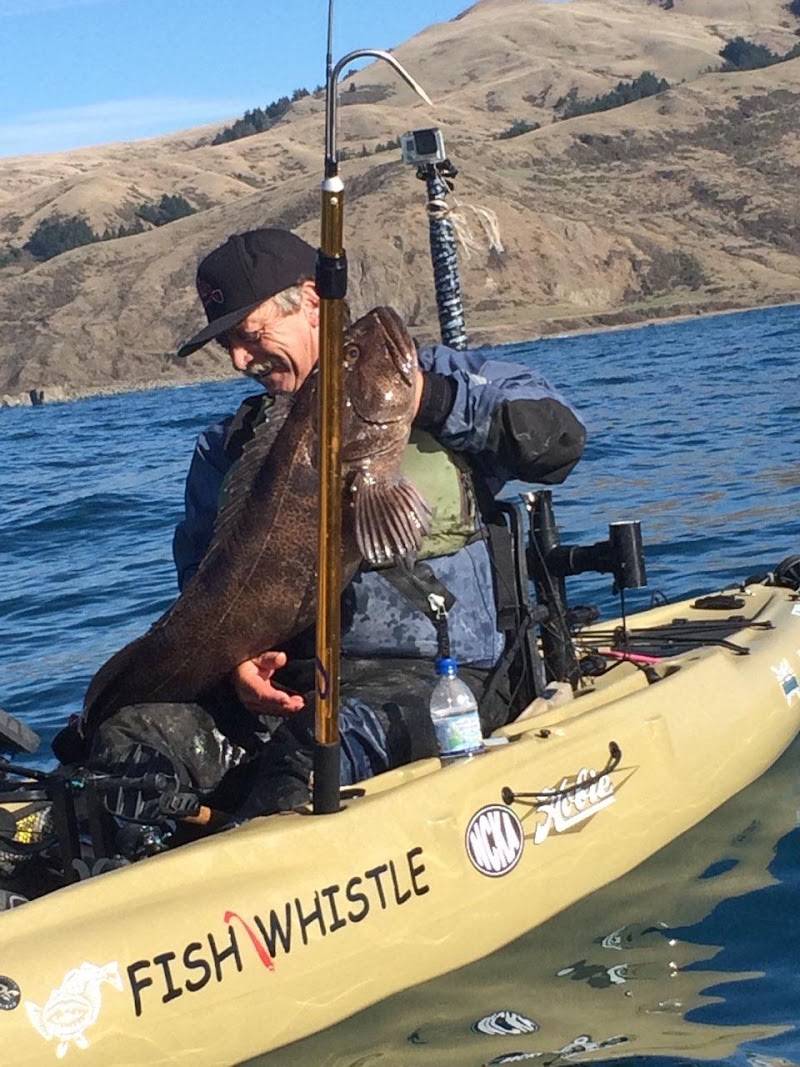 Shasta Lake Bait & Tackle